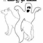 Chhfgg