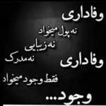 reza13551355
