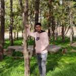 farid__leii