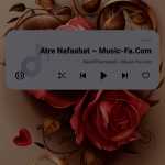 Aloi