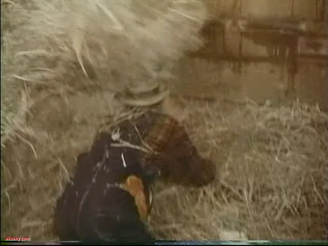 The.Sexpert 1972

یک فیلم کمدی سکسی کلاسیک 