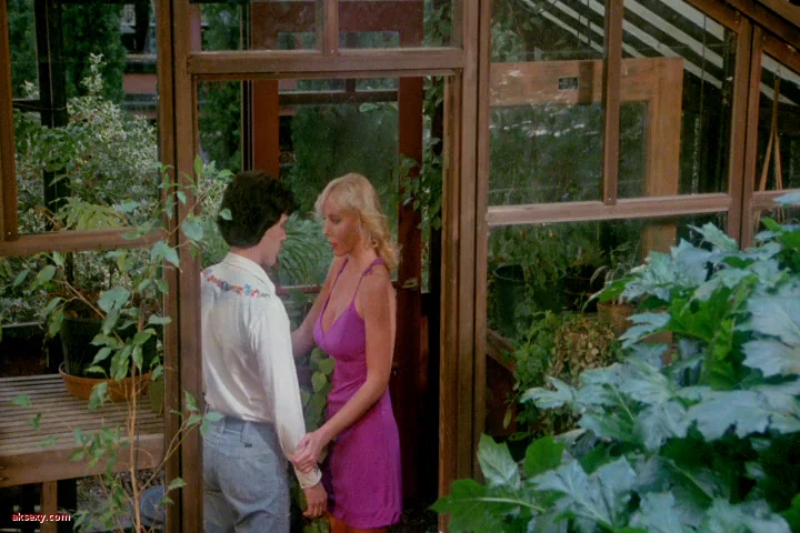 ماجراجویی های اروتیک کندی ۱۹۷۸

Erotic Adventures of Candy 1978