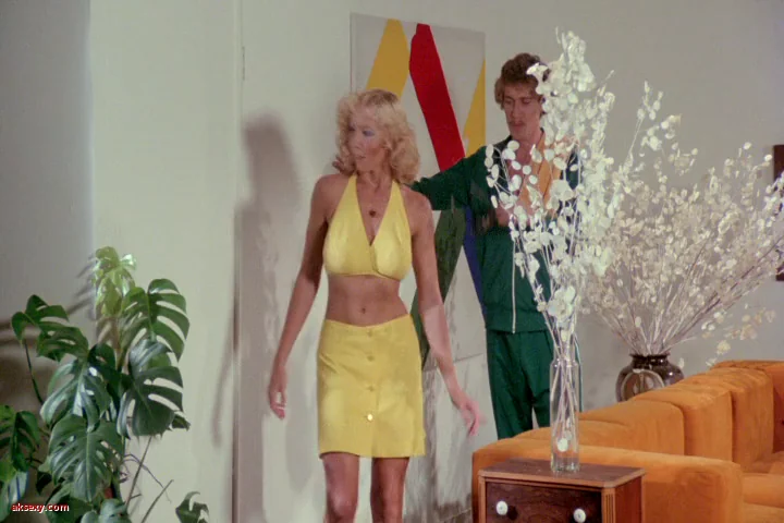 ماجراجویی های اروتیک کندی ۱۹۷۸

Erotic Adventures of Candy 1978