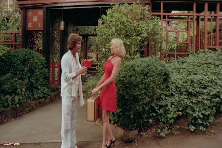 ماجراجویی های اروتیک کندی ۱۹۷۸

Erotic Adventures of Candy 1978
