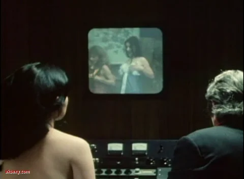 دختر چینی ۱۹۷۵
China Girl 1975